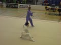 ii wushun sm-kilpailut 2008 - 2nd finnish wushu championships 2008. naiset taijiquan, women's taijiquan