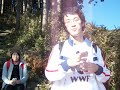 Moving Visual in Japan