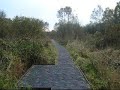 Wicken Fen Wicken Fen