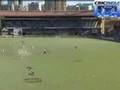 Seven Runs in 1 ball, no six, no noballs