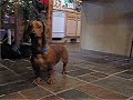 Fun in the Kitchen