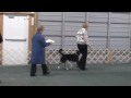 Kicks in BCSA Invitational Cruft-Style Run-Off Performance