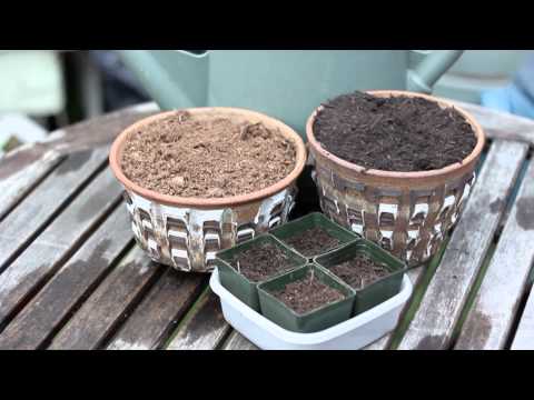how to fertilize garden soil