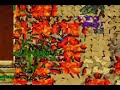 tibia antica war