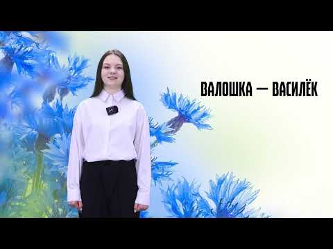 Родная мова. 17 выпуск. 19.04.26