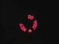 Cool Programmable Mini LED Light Fan 4 Night Club