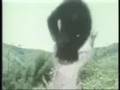 Kung Fu Gorilla Fight 2 - Bruce Lee the Invincible