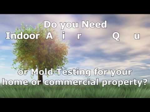how to test for air quality in a home