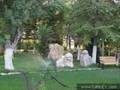 www.cumrahaber.com �umra dan g�r�nt�ler �alihan emlak cumra