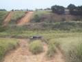 videos de 大肚山