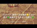 2019年1月21日_満月💜🌝💜
