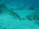 Curso de buceo Compensar - Aquasub Dive Travel