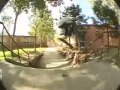 david reyes - what are you doing 303
