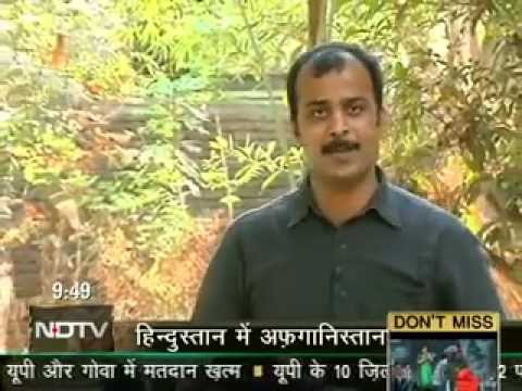 how to grow opium in india