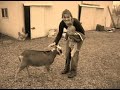 Farming with Children - By The Busy Browns
