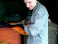 17-go czerwca przyszło na świat dziewięć słodkich szczeniaczków, 3 suczki i 6 piesków. Szczenięta są zdrowe i pod stałą opieką.Dla każdego z nich poszukujemy nowych właścicieli.Szczeniaczki są rodowodowe szczegóły na beauceron.ovh.org