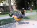 videos de Mele gira al parco