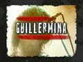 Thumbnail #1