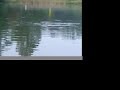 Freshwater Blitz NEW JERSEY 9 28 07