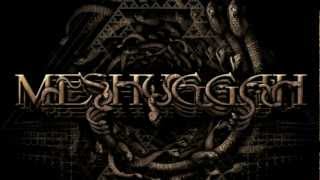MESHUGGAH - Do Not Look Down (LYRIC VIDEO)