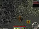 FoW run to forest