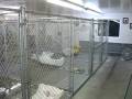 Wasilla Kennel 003.avi