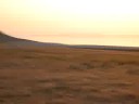 hyland murray antelope
