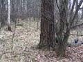 Paintball Konczyce - Cieszyn
