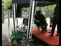 Recalling The Biak Massacre