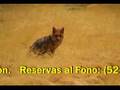 EXPEDICION OJOS DEL SALADO