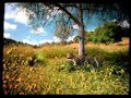 K-fee prairie