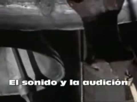 Imagen de previsualización de YouTube