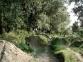 A4-Trails