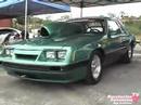 Mustang Fest 1 - Aibonito P.R. Mustang Fest 1 - Aibonito P.R.