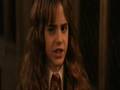 Snape, Hermiona, Ron