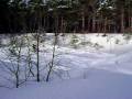 videos de Kalkaska