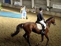 Couleur D (Conterno Grande x Landor s x Cor de la Bryere) Couleur D (Conterno Grande x Landor s x Cor de la Bryere)