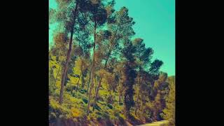 أم خشرم - النقب أم خشرم - النقب