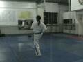 Taekwondo Poomsae