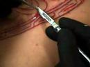 About Tattoos About Tattoos