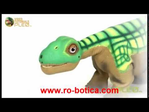 how to train pleo rb