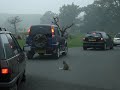 some-funny-monkeys.html