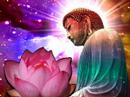 LOTUS BUDDHA