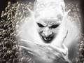 videos de NIGHT OF CHILL - Gay Lesbo halloween 2008