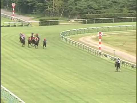 「[競馬]途中30馬身以上離して逃げる大暴走、最後の3F40.1﻿ - 瓢湖特別タケデンノキボー」のイメージ