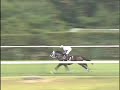 [競馬]途中30馬身以上離して逃げる大暴走、最後の3F40.1﻿ - 瓢湖特別タケデンノキボーのサムネイル2