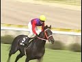 [競馬]途中30馬身以上離して逃げる大暴走、最後の3F40.1﻿ - 瓢湖特別タケデンノキボーのサムネイル3
