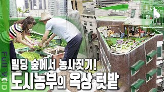[은평구] 서울 빌딩 숲에서 농사짓는 법 대공개 썸네일