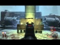 Black Ops Zombies w/ Syndicate *LIVE*