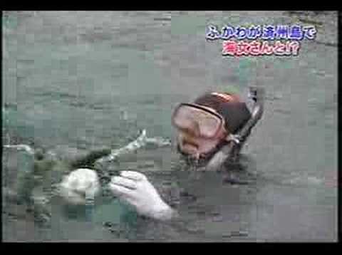 Summers' Japanese Style Tour in ...
